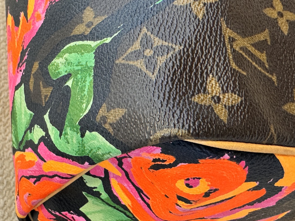 Speedy 30 Roses