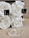 Chanel set Ring &amp; Ohrringe