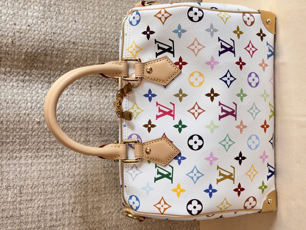 Speedy 25 Bandouliere Multicolor weiss