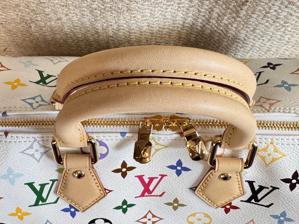 Speedy 25 Bandouliere Multicolor weiss