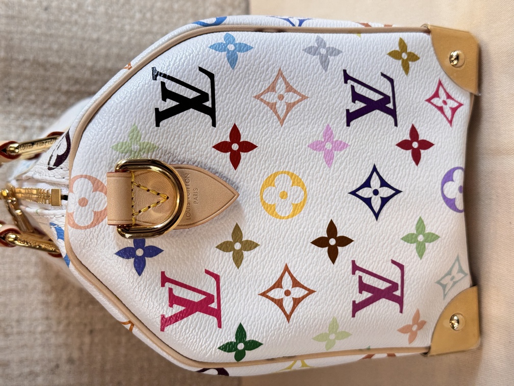 Speedy 25 Bandouliere Multicolor weiss