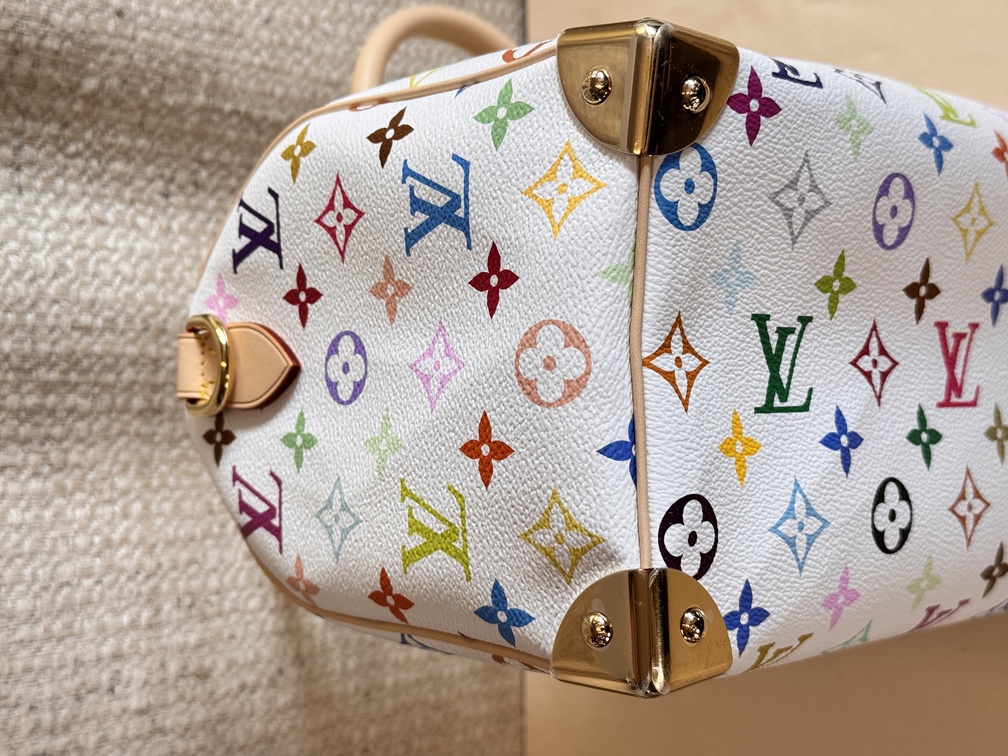 Speedy 25 Bandouliere Multicolor weiss