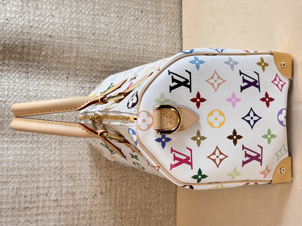 Speedy 25 Bandouliere Multicolor weiss