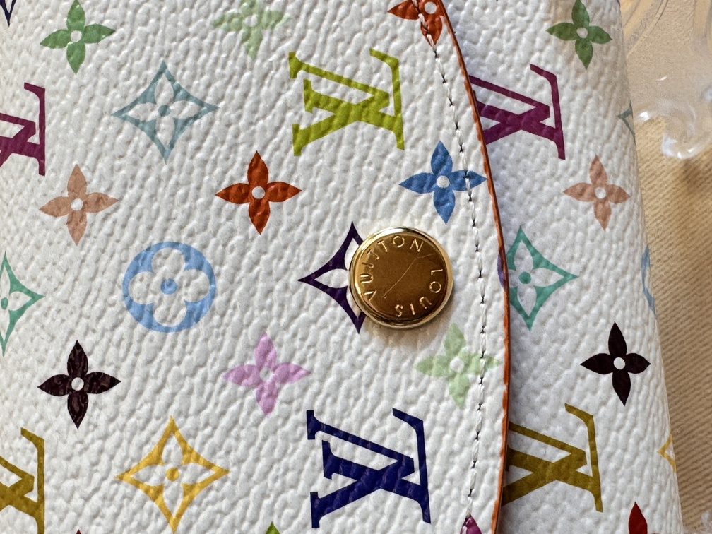Rosalie Börse Multicolor