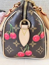 Speedy 20 B Cerise