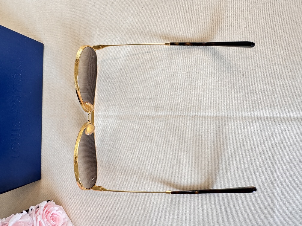 Sonnenbrillen The LV Pilot