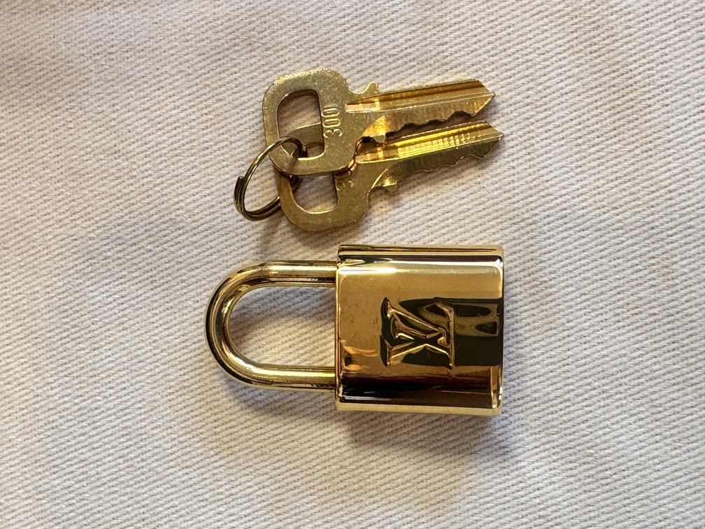 Speedy 25 B Constellation