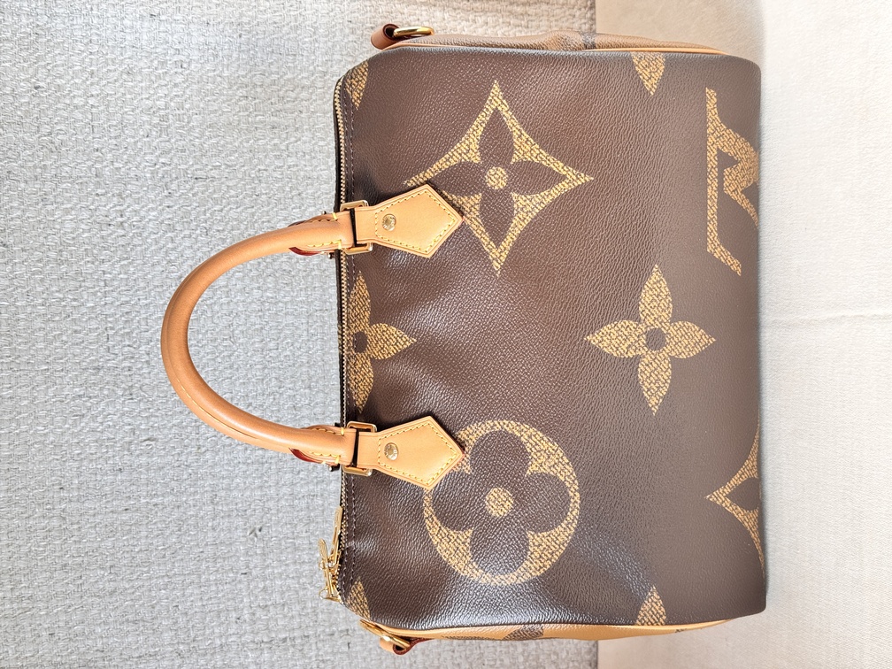 Speedy 30 Bandouliere Giant Reverse