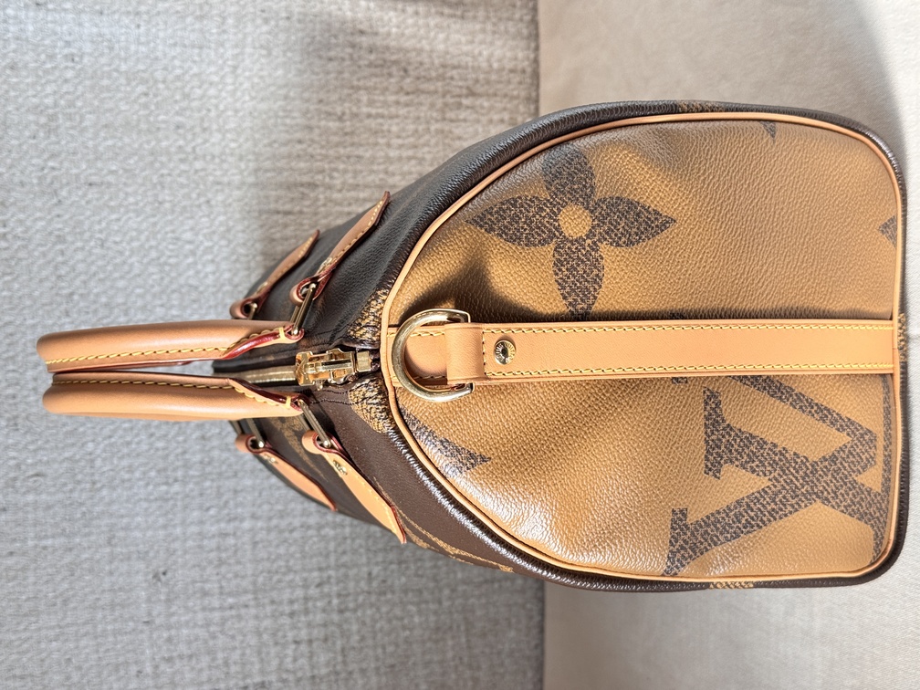 Speedy 30 Bandouliere Giant Reverse