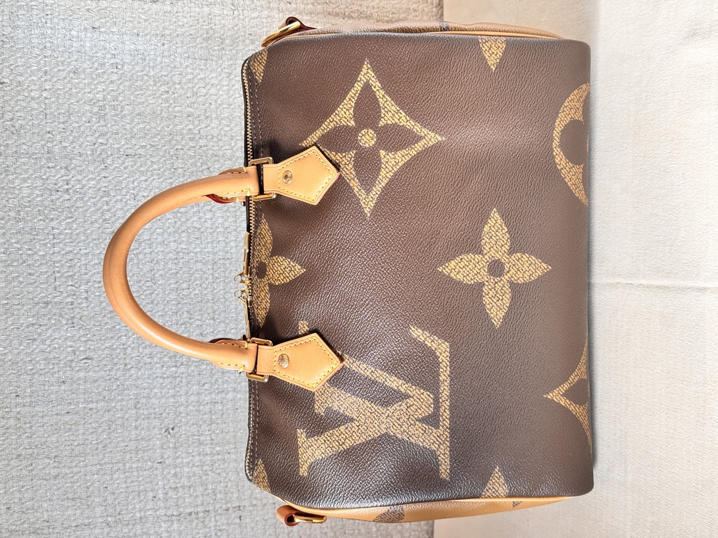 Speedy 30 Bandouliere Giant Reverse