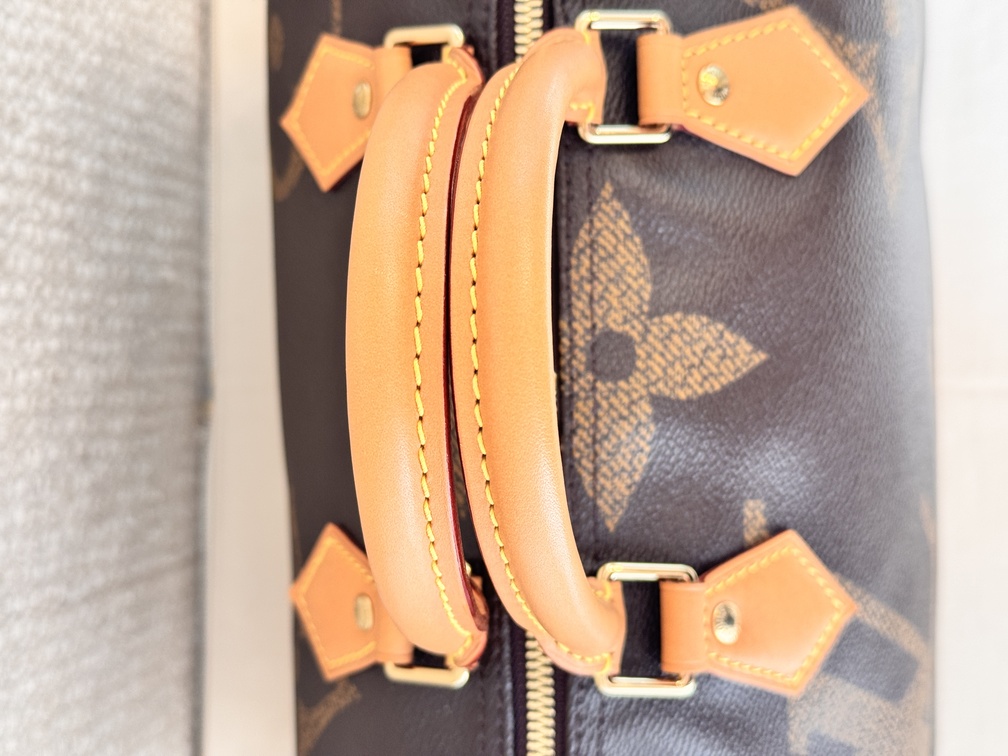 Speedy 30 Bandouliere Giant Reverse