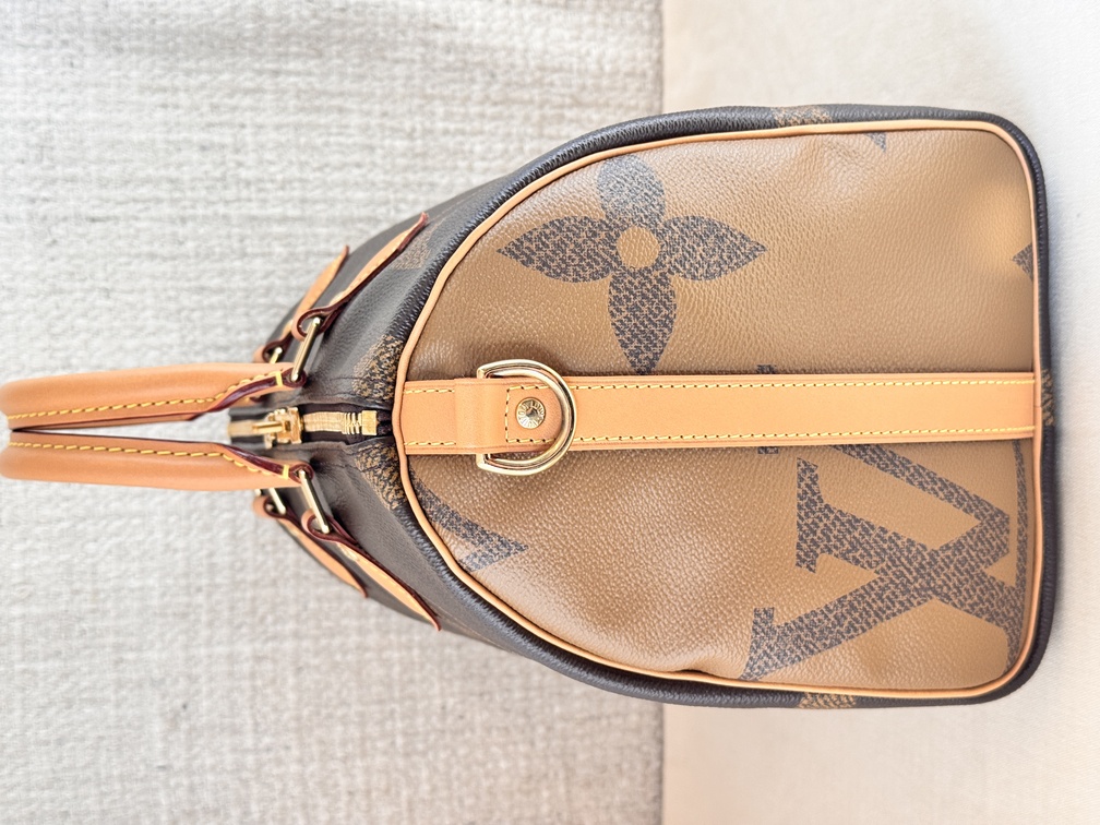 Speedy 30 Bandouliere Giant Reverse