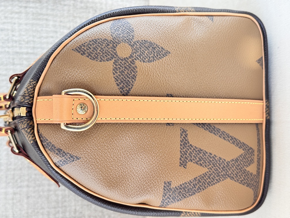 Speedy 30 Bandouliere Giant Reverse