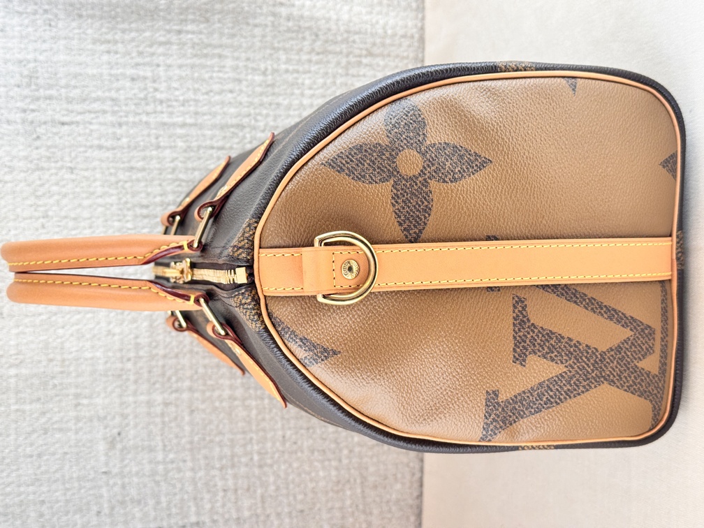 Speedy 30 Bandouliere Giant Reverse