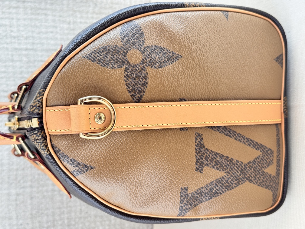 Speedy 30 Bandouliere Giant Reverse