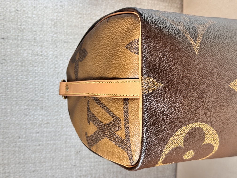 Speedy 30 Bandouliere Giant Reverse