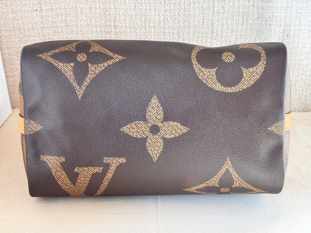 Speedy 30 Bandouliere Giant Reverse