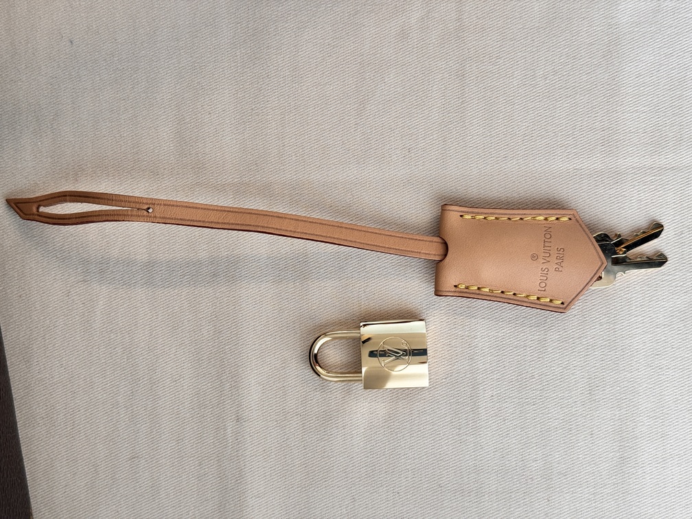 Speedy 30 Bandouliere Giant Reverse