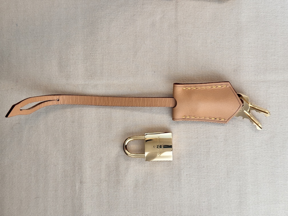 Speedy 30 Bandouliere Giant Reverse