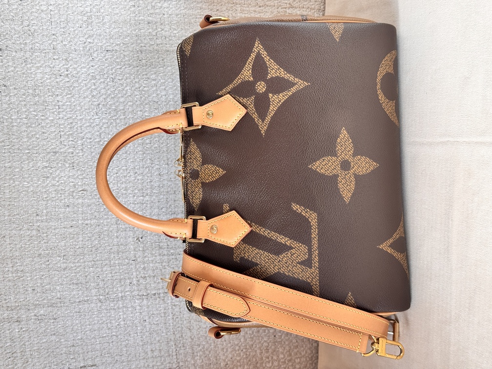 Speedy 30 Bandouliere Giant Reverse