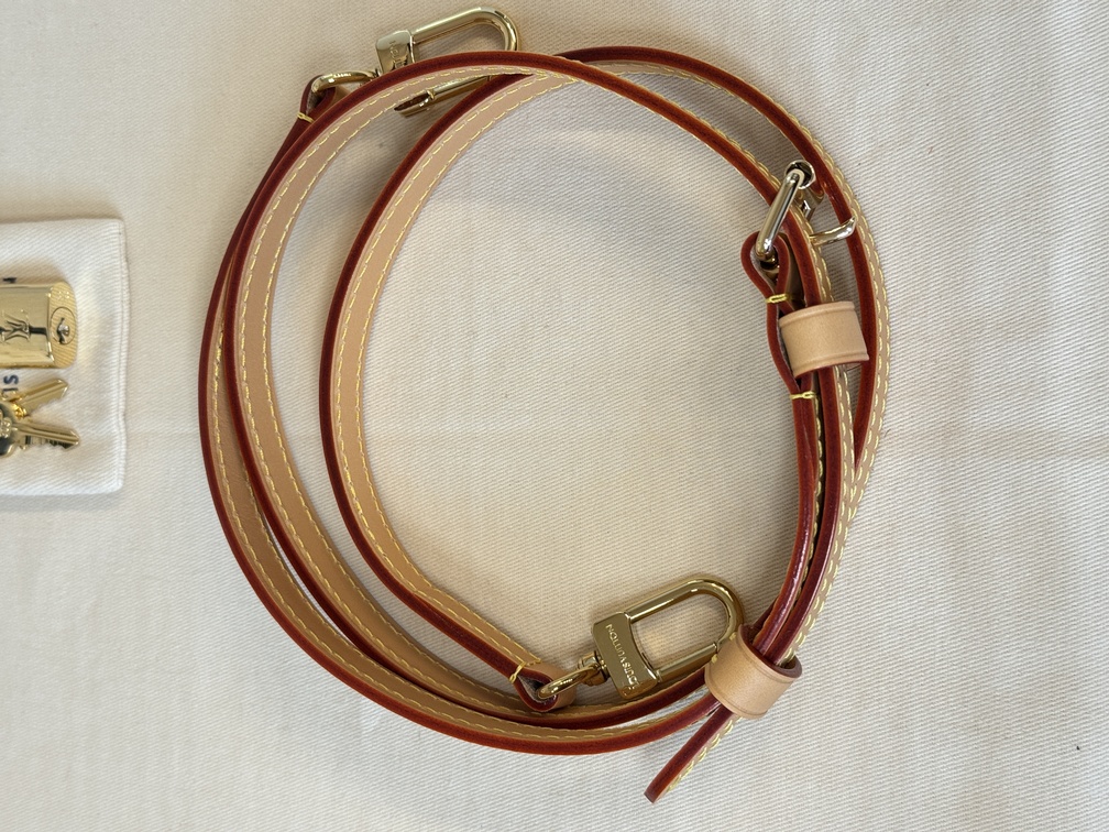 Speedy 20B Monogram Dune