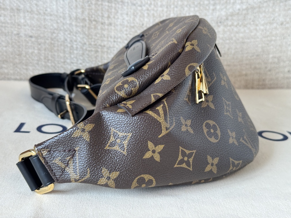 Bumbag Monogram World Tour