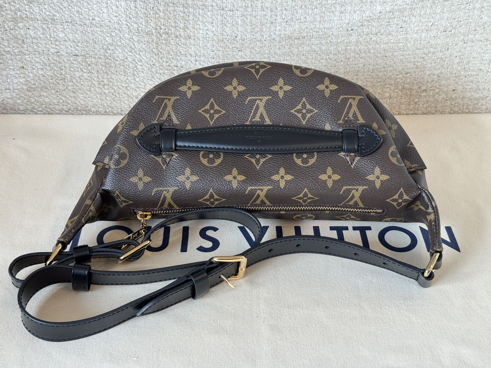 Bumbag Monogram World Tour