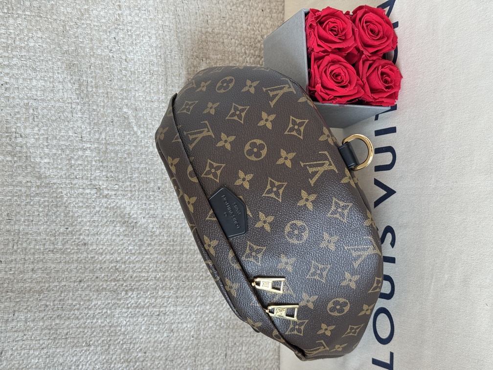 Bumbag Monogram World Tour