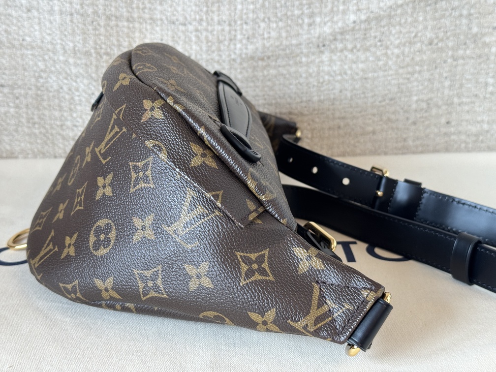 Bumbag Monogram World Tour