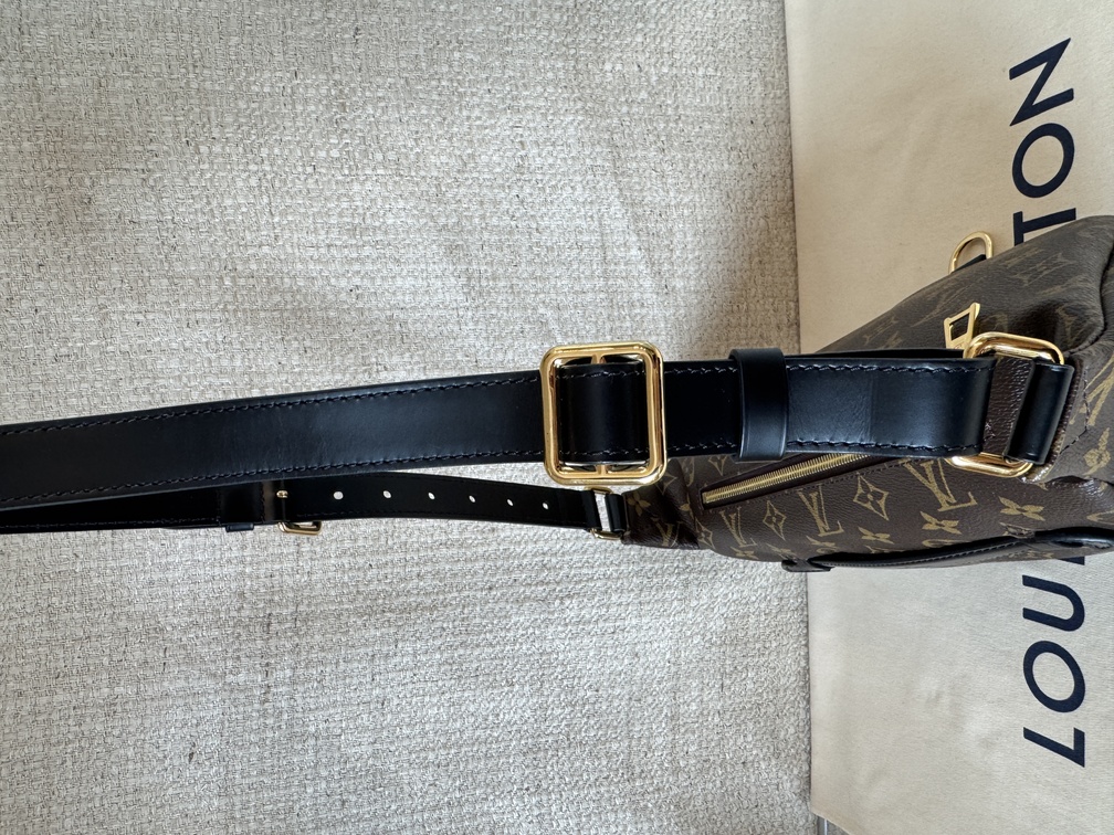 Bumbag Monogram World Tour