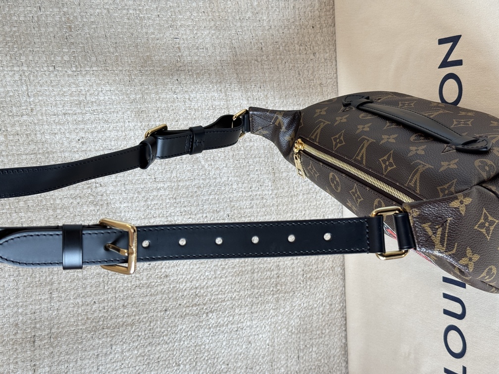 Bumbag Monogram World Tour