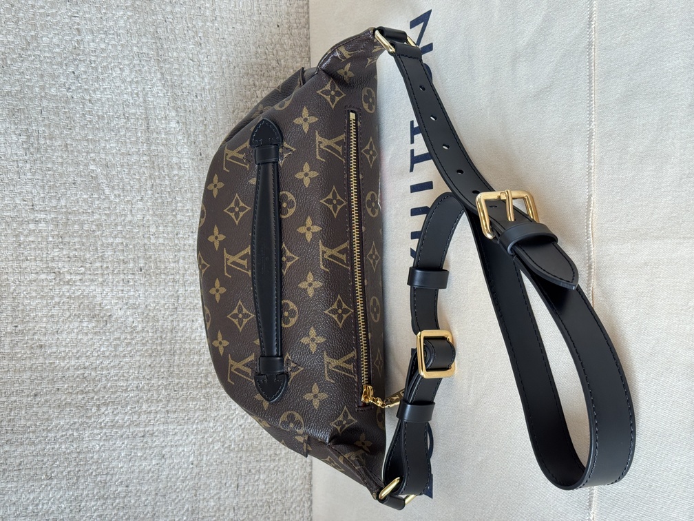 Bumbag Monogram World Tour