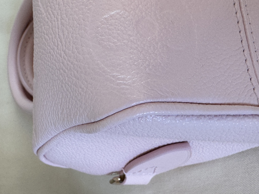 Speedy 20 Bandouliere Pink Opale