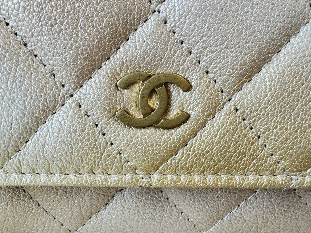CHANEL Wallet on chain Ombre beige