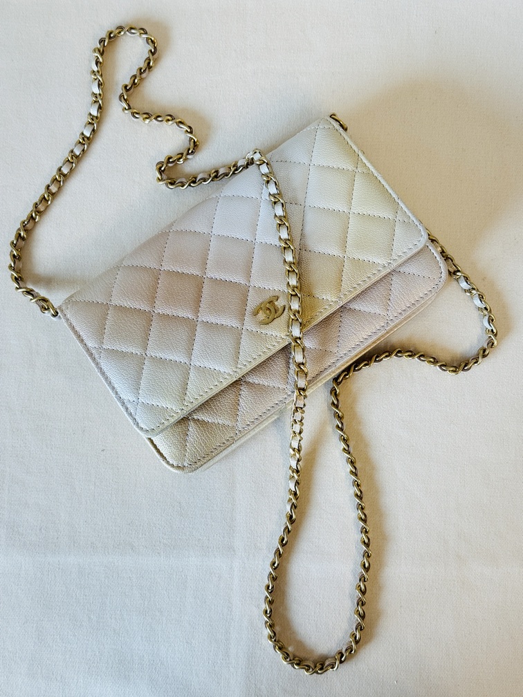 CHANEL Wallet on chain Ombre beige