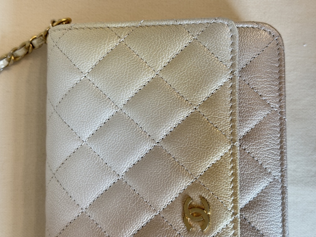 CHANEL Wallet on chain Ombre beige