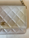 CHANEL Wallet on chain Ombre beige