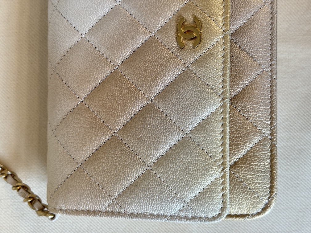 CHANEL Wallet on chain Ombre beige