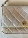 CHANEL Wallet on chain Ombre beige