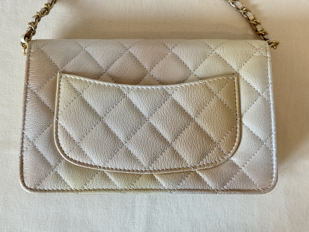 CHANEL Wallet on chain Ombre beige