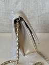 CHANEL Wallet on chain Ombre beige