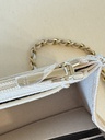 CHANEL Wallet on chain Ombre beige