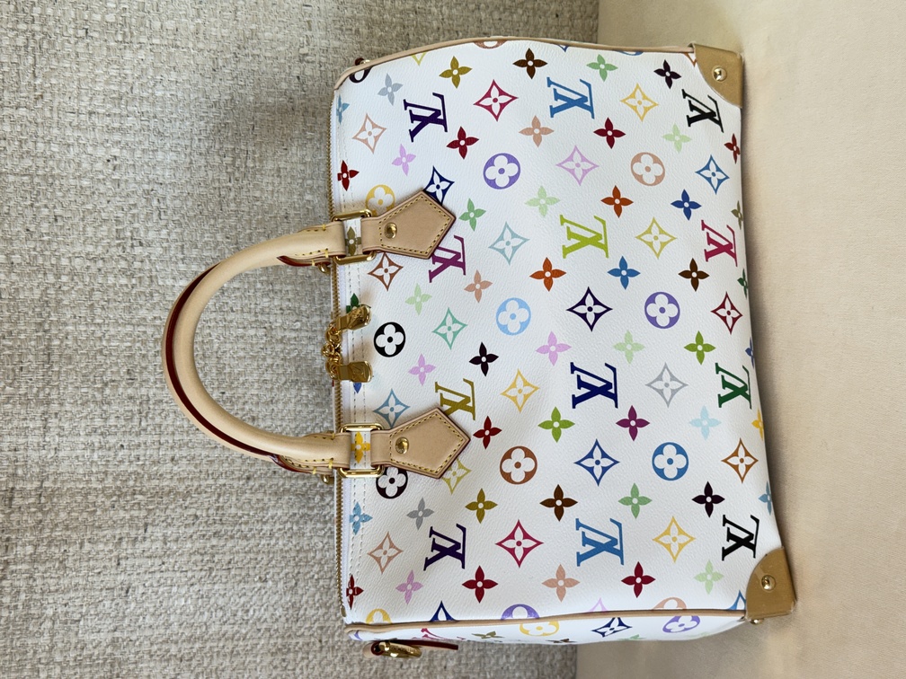 Speedy 30 Soft LV x TM Multicolor