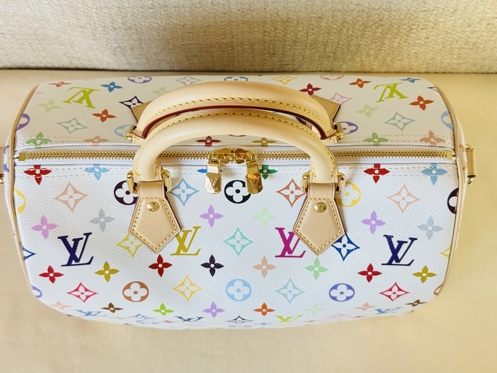 Speedy 30 Soft LV x TM Multicolor
