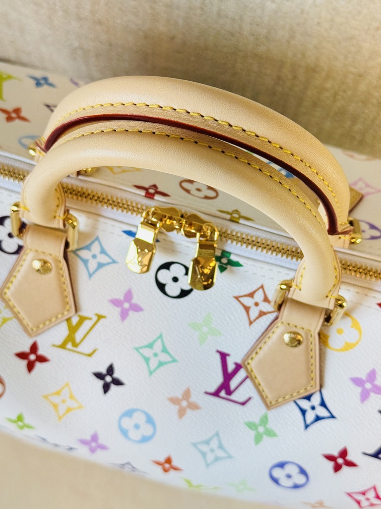Speedy 30 Soft LV x TM Multicolor
