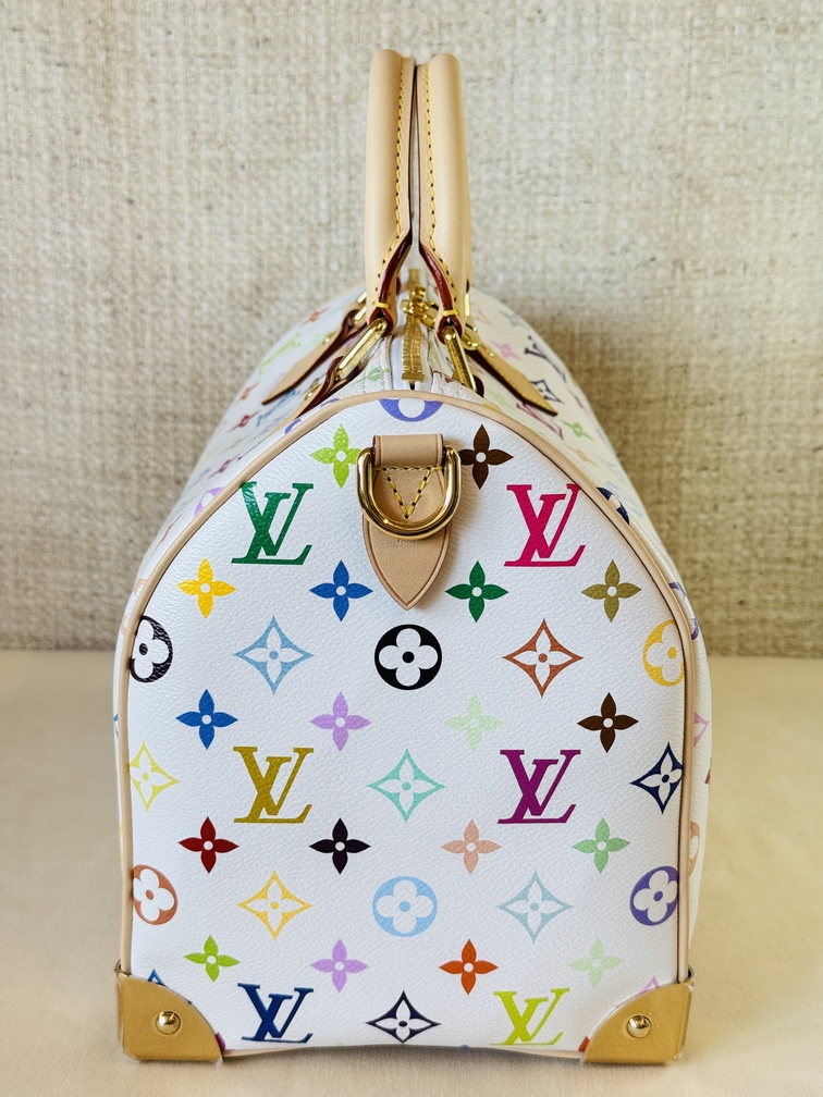 Speedy 30 Soft LV x TM Multicolor