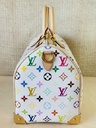 Speedy 30 Soft LV x TM Multicolor