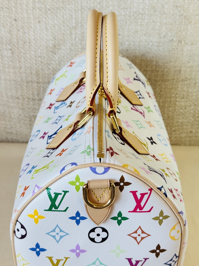 Speedy 30 Soft LV x TM Multicolor