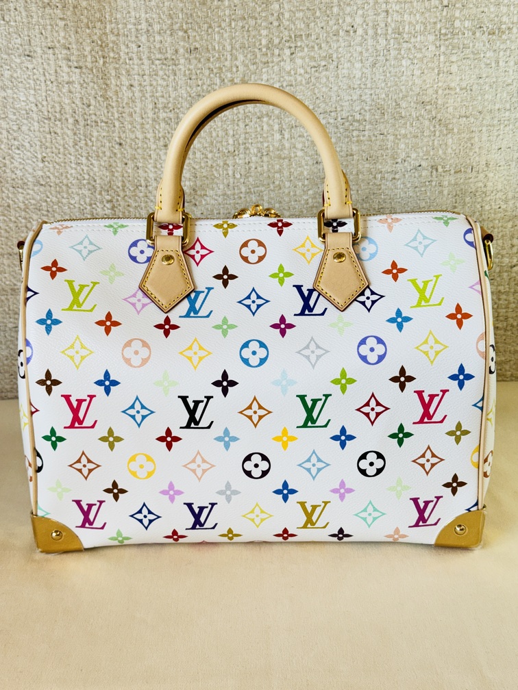 Speedy 30 Soft LV x TM Multicolor