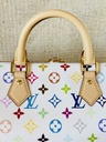 Speedy 30 Soft LV x TM Multicolor